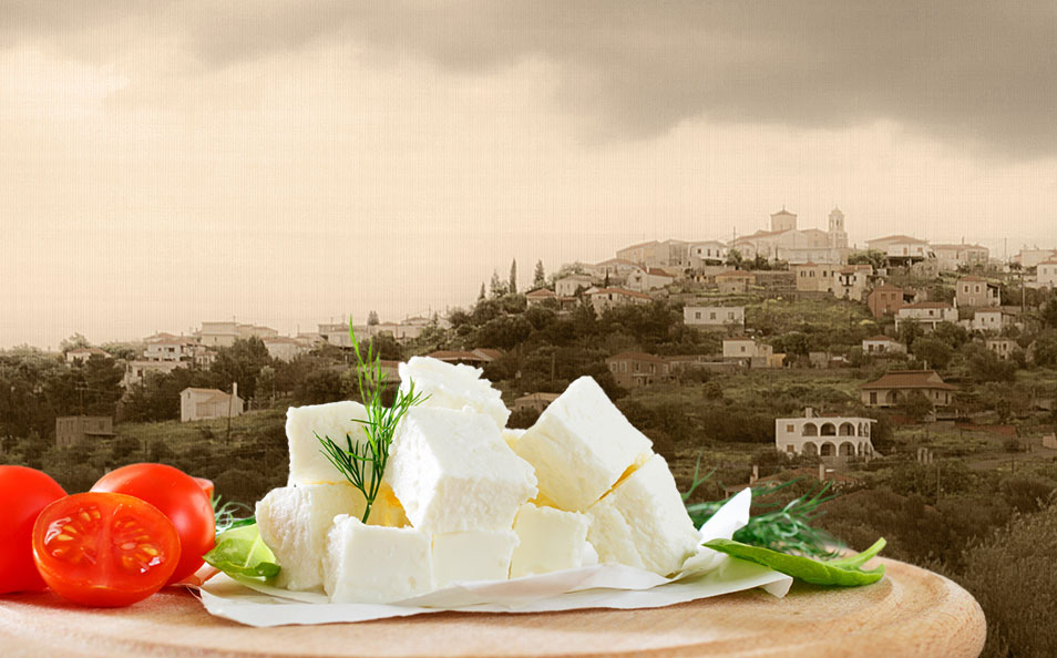 Laviogal, Traditional Cheese Factory, Monemvasia Cheese Factory, Laconia Cheese Factory, Feta, Monemvasia Feta, Goat Cheese, Monemvasia Goat Cheese, Mizithra, Monemvasia Mizithra, Graviera, Monemvasia Graviera, Kefalotyri, Sfela, Psistiri, Butter, Barreled Feta, Feta in a pot, Barreled Goat Cheese, Graviera with olive oil, Graviera with Boukovo, Graviera with Pepper, Krasograviera, Touloumotiri, Monemvasia Cheeses