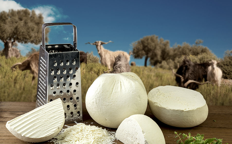 Laviogal, Traditional Cheese Factory, Monemvasia Cheese Factory, Laconia Cheese Factory, Feta, Monemvasia Feta, Goat Cheese, Monemvasia Goat Cheese, Mizithra, Monemvasia Mizithra, Graviera, Monemvasia Graviera, Kefalotyri, Sfela, Psistiri, Butter, Barreled Feta, Feta in a pot, Barreled Goat Cheese, Graviera with olive oil, Graviera with Boukovo, Graviera with Pepper, Krasograviera, Touloumotiri, Monemvasia Cheeses