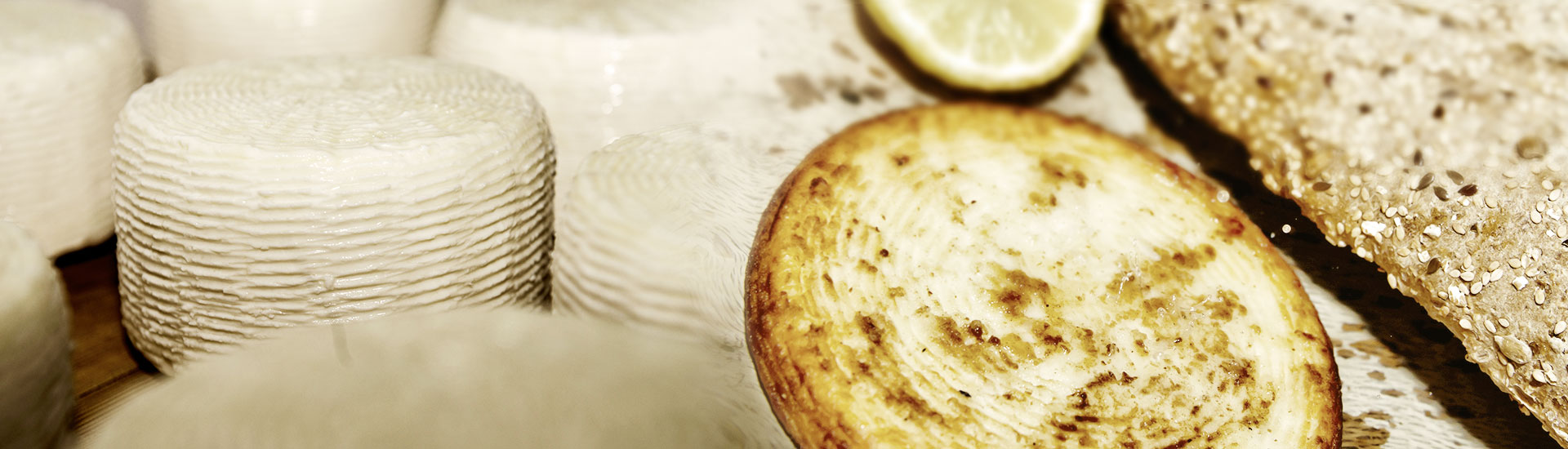 Laviogal, Traditional Cheese Factory, Monemvasia Cheese Factory, Laconia Cheese Factory, Feta, Monemvasia Feta, Goat Cheese, Monemvasia Goat Cheese, Mizithra, Monemvasia Mizithra, Graviera, Monemvasia Graviera, Kefalotyri, Sfela, Psistiri, Butter, Barreled Feta, Feta in a pot, Barreled Goat Cheese, Graviera with olive oil, Graviera with Boukovo, Graviera with Pepper, Krasograviera, Touloumotiri, Monemvasia Cheeses