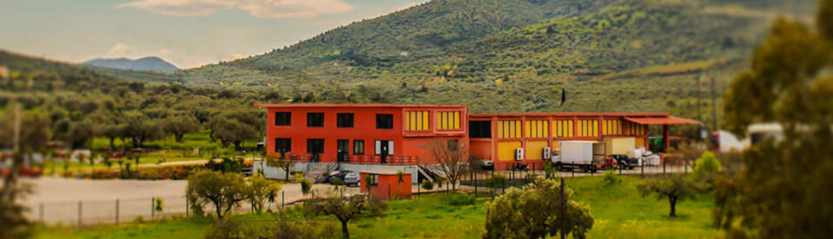 Laviogal, Traditional Cheese Factory, Monemvasia Cheese Factory, Laconia Cheese Factory, Feta, Monemvasia Feta, Goat Cheese, Monemvasia Goat Cheese, Mizithra, Monemvasia Mizithra, Graviera, Monemvasia Graviera, Kefalotyri, Sfela, Psistiri, Butter, Barreled Feta, Feta in a pot, Barreled Goat Cheese, Graviera with olive oil, Graviera with Boukovo, Graviera with Pepper, Krasograviera, Touloumotiri, Monemvasia Cheeses